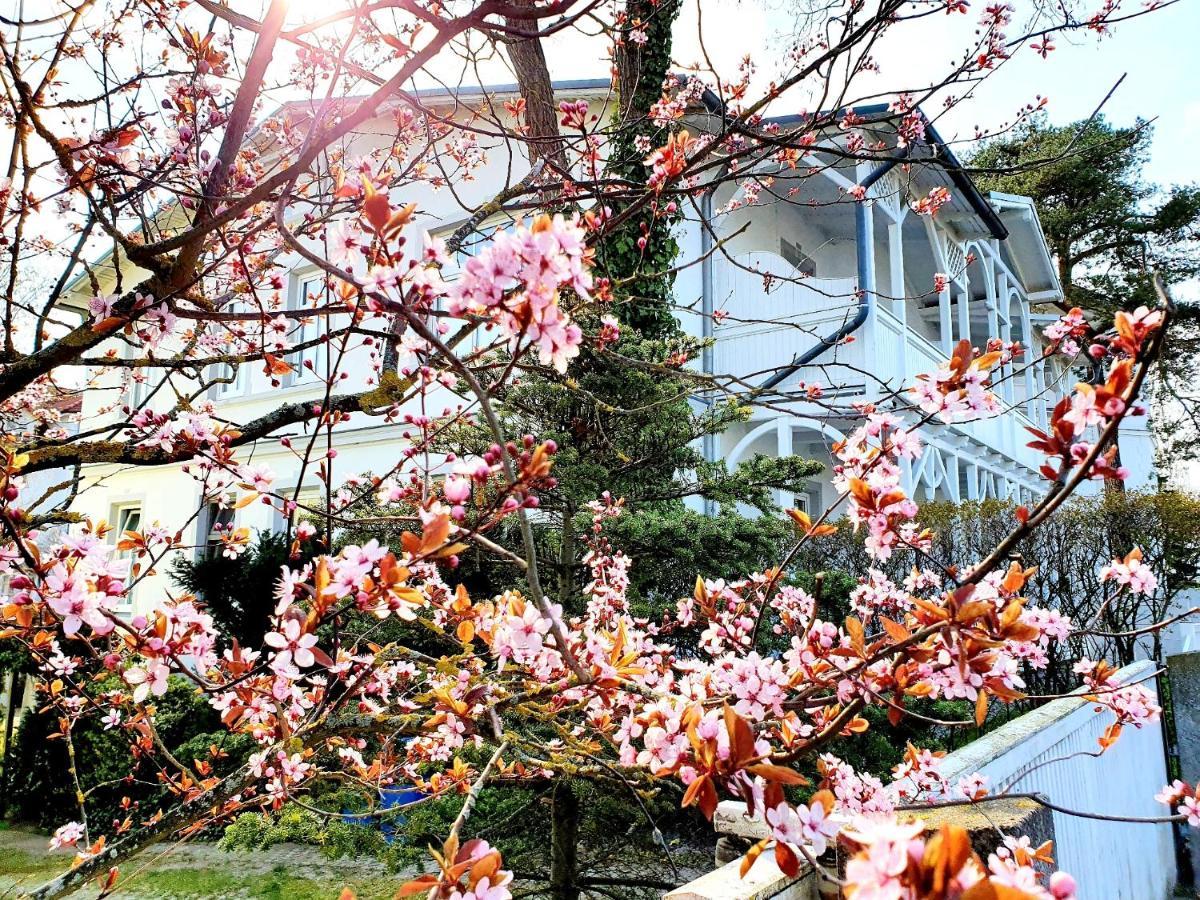 Villa Asta Binz Luaran gambar
